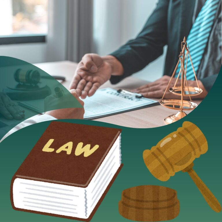 The Heroine Wants Me as Her Sister-in-Law: Exploring Love, Relationships, and Unexpected Bonds